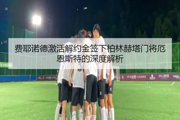 费耶诺德激活解约金签下柏林赫塔门将厄恩斯特的深度解析