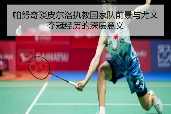 帕努奇谈皮尔洛执教国家队前景与尤文夺冠经历的深层意义