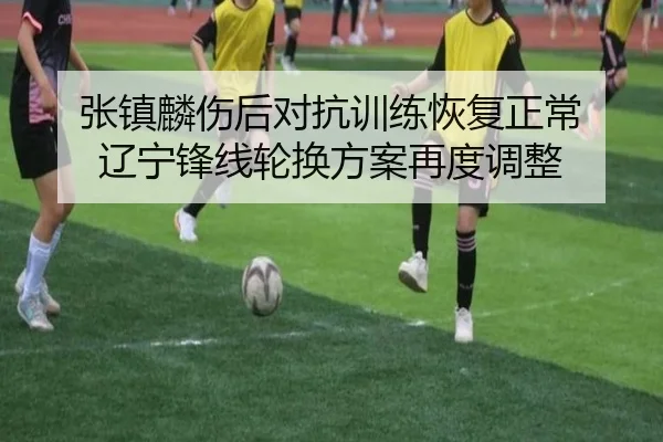 张镇麟伤后对抗训练恢复正常 辽宁锋线轮换方案再度调整